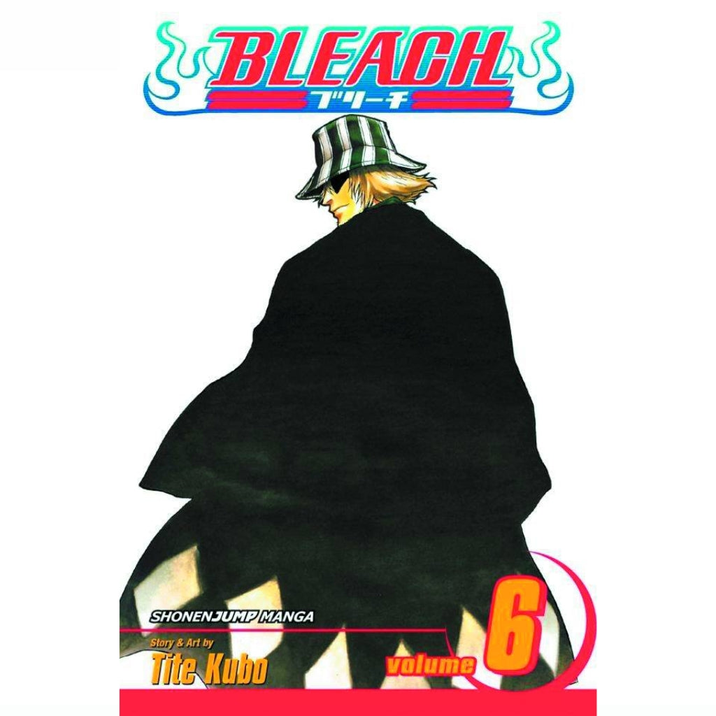 Bleach, Vol. 6